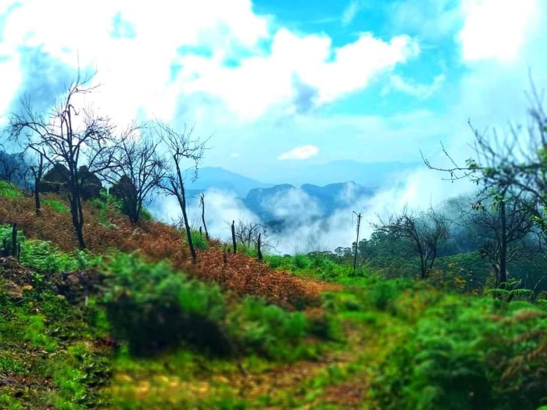 The Place ...The Experience Kodaikanal Exterior photo